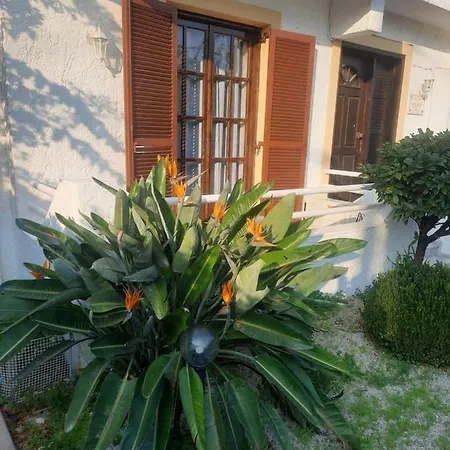 Habitación en casa particular Bianca *