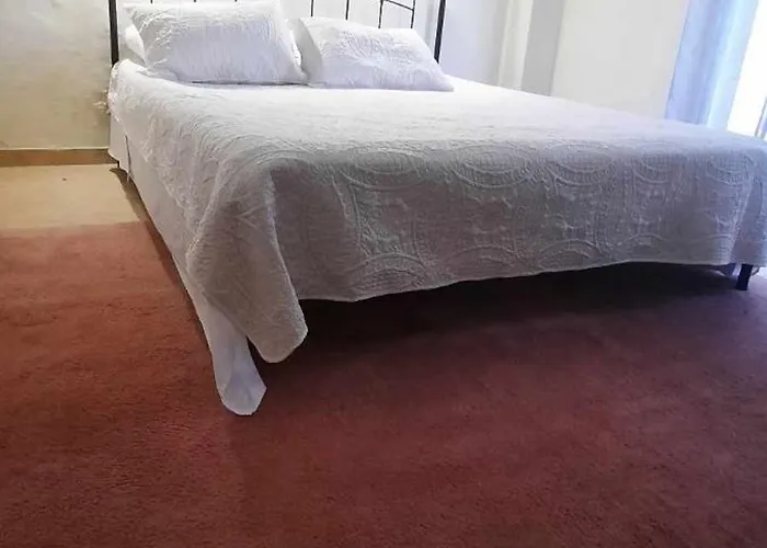 Bianca クレマスティ