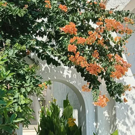 Séjour chez l'habitant Bianca *