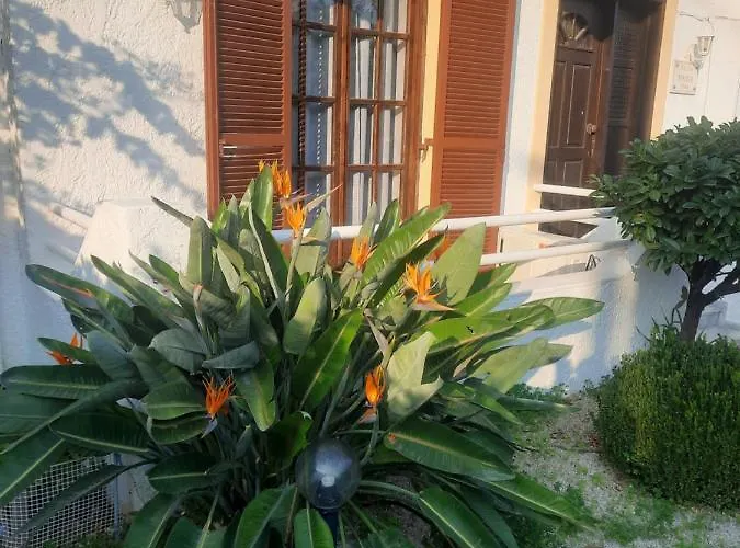 Quarto em Acomodações Particulares Bianca *